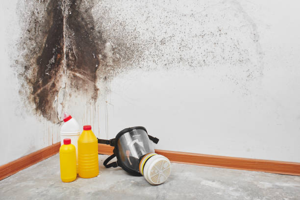 Best Residential Mold Removal  in Village Of Oak Creek, AZ