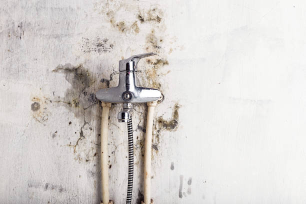 Best Fast Mold Removal  in Village Of Oak Creek, AZ