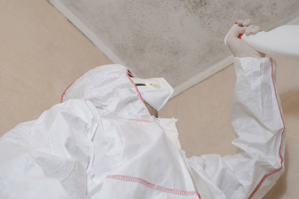 Best Toxic Mold Removal  in Village Of Oak Creek, AZ